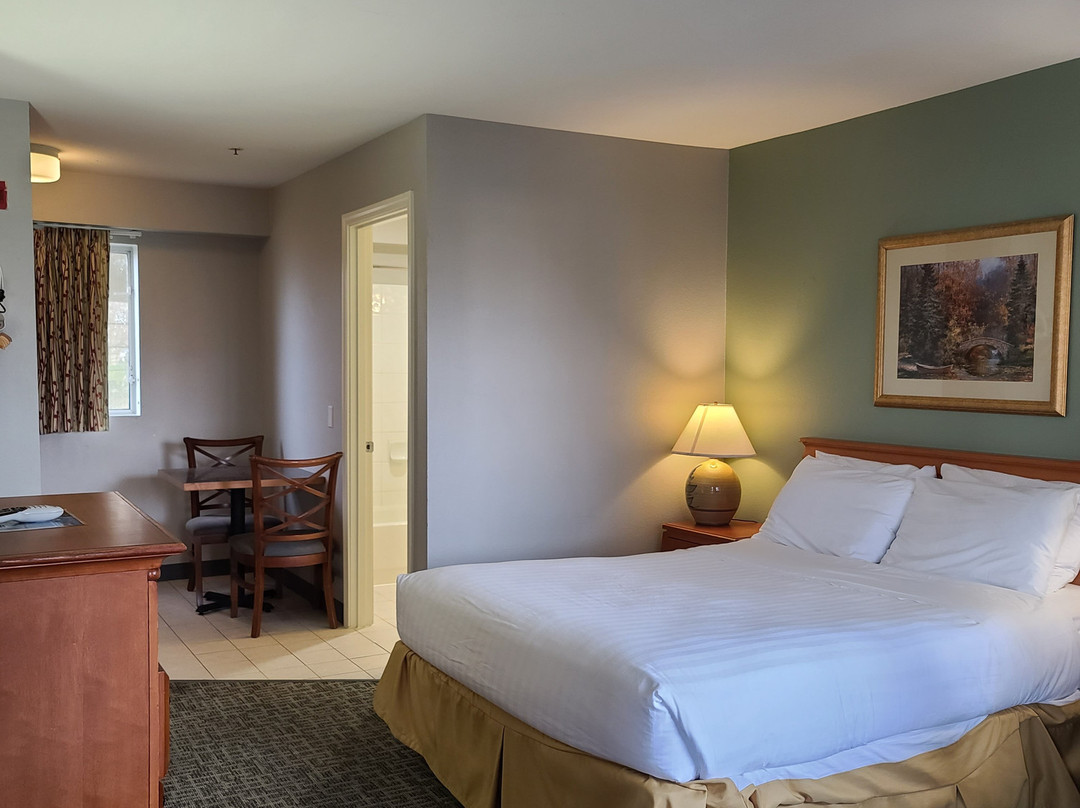 Tulip Inn Mt. Vernon主图