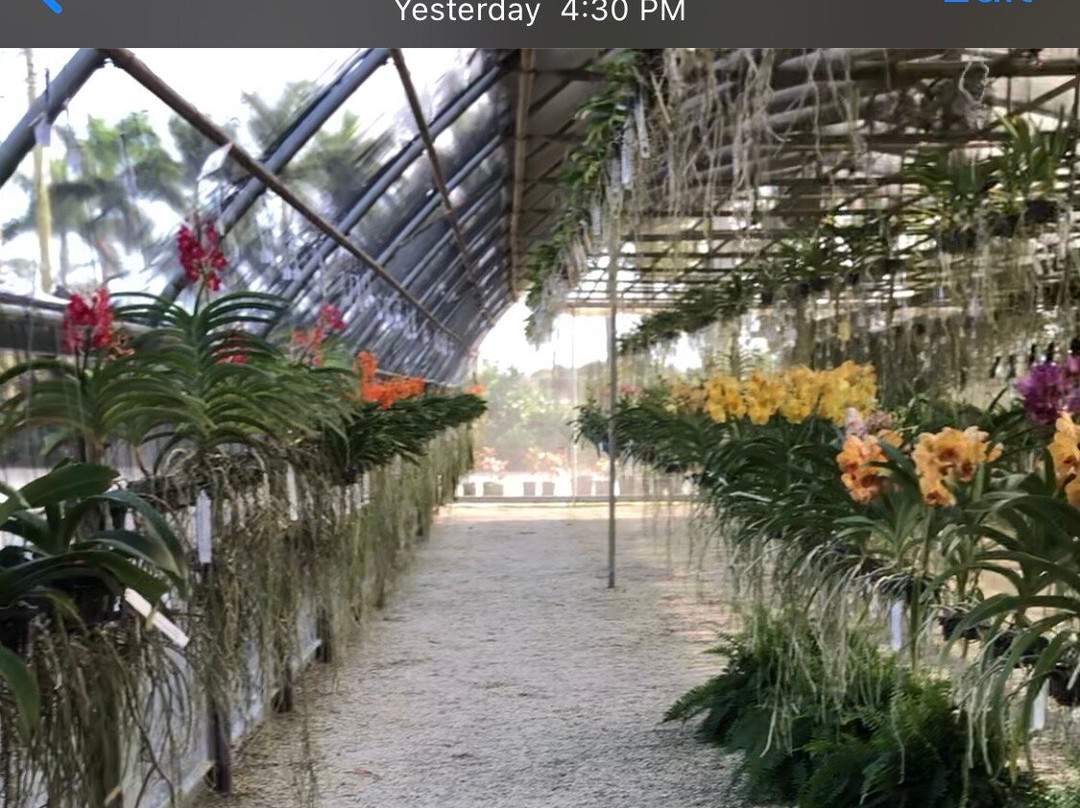 R.F. Orchids-霍姆斯特德必去景点