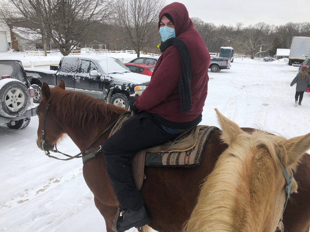 Forest View Farms-廷利公园必去景点