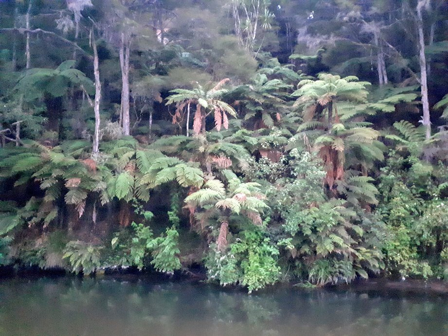 The Boatshed Kayaks-剑桥必去景点