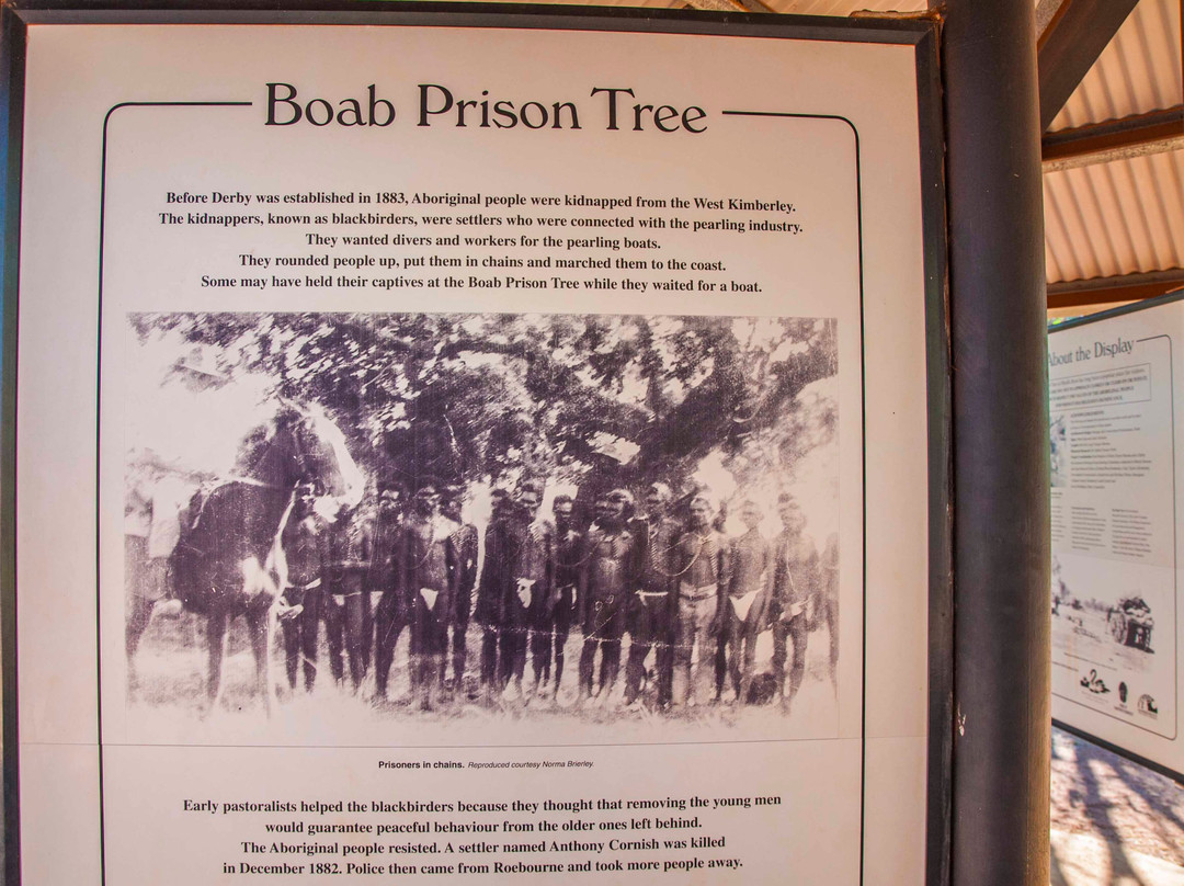Boab Prison Tree景点图片