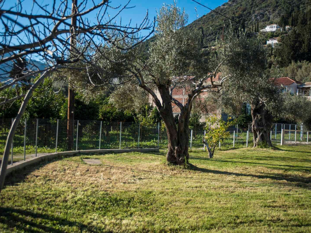 Kostas Studios主图