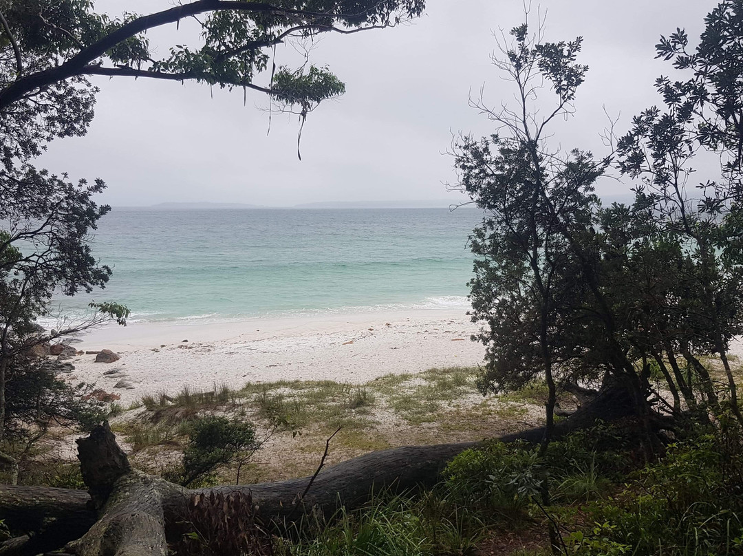 Greenfield Beach-文森提阿必去景点