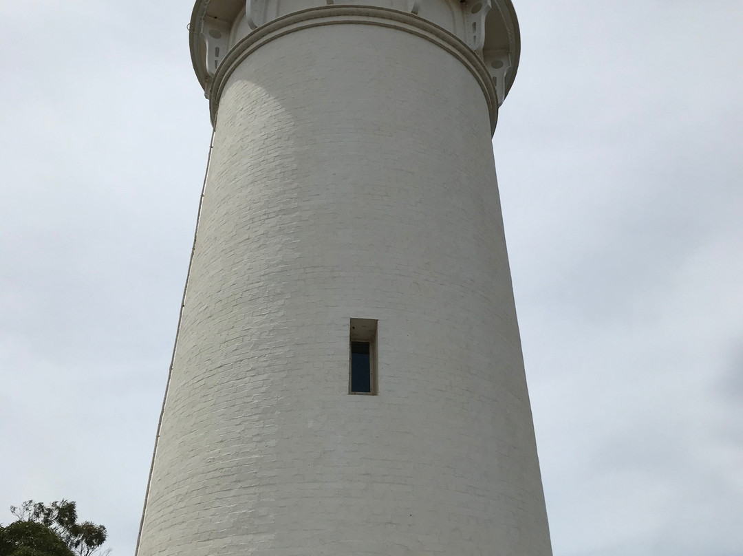 Table Cape Lighthouse-温耶德必去景点
