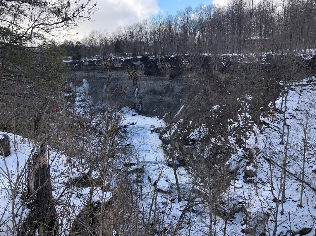 Rockway Conservation Area-圣凯瑟琳斯必去景点