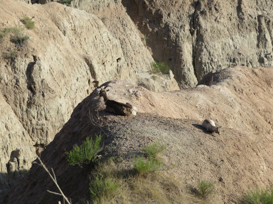 Badlands Wilderness Overlook景点图片