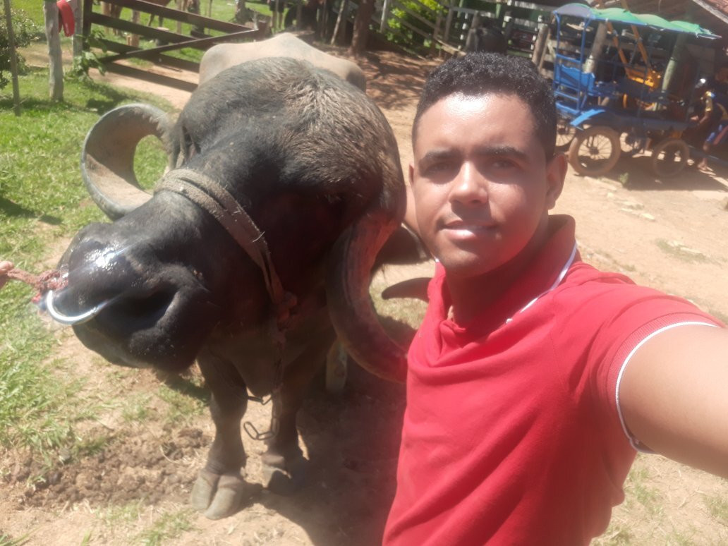 Hotel Fazenda Araras主图