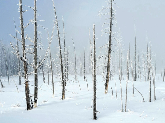 KAR Safaris-西黄石镇必去景点