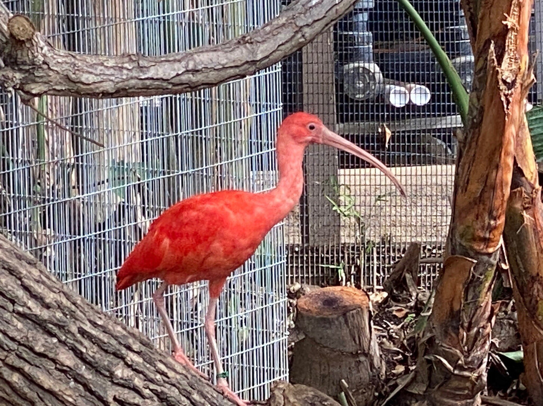 Santa Ana Zoo at Prentice Park-圣安娜必去景点