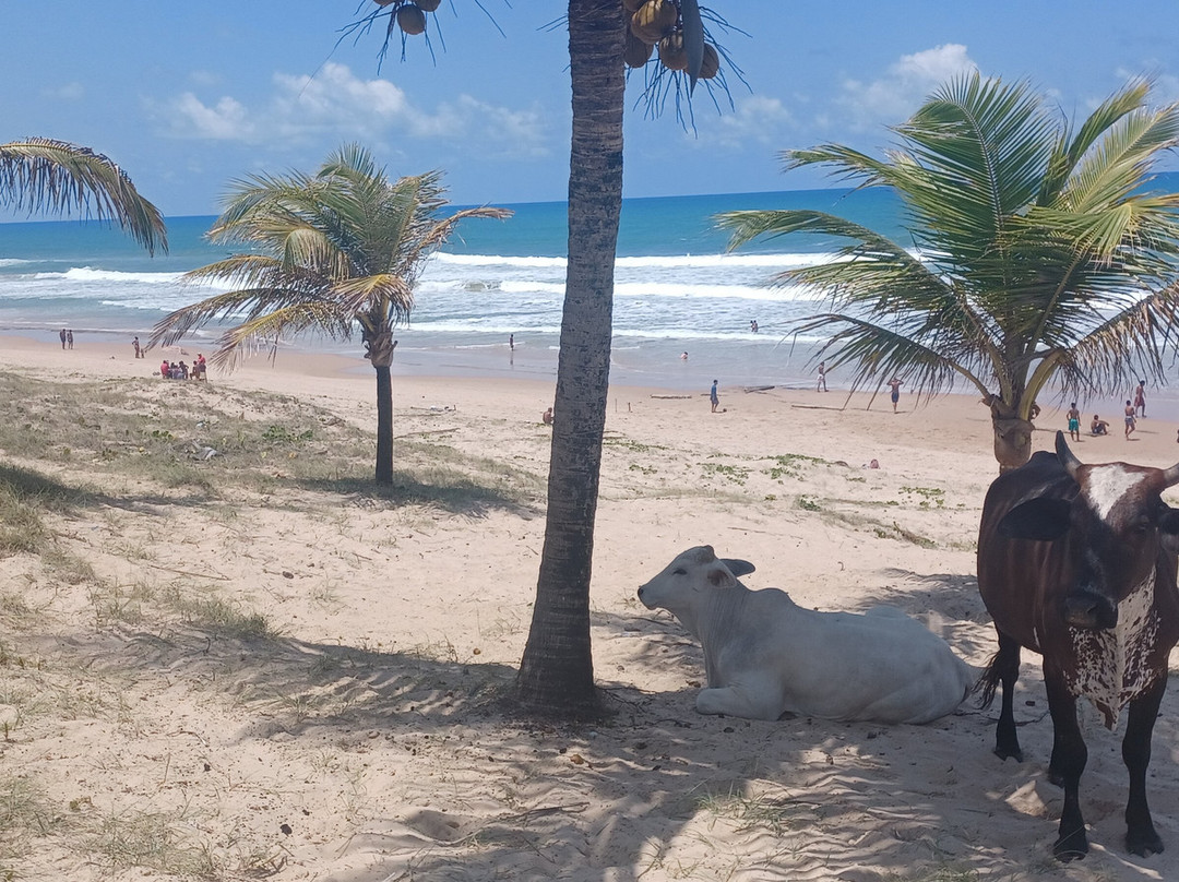 Esplanada酒店住宿-Pousada Marinheiro