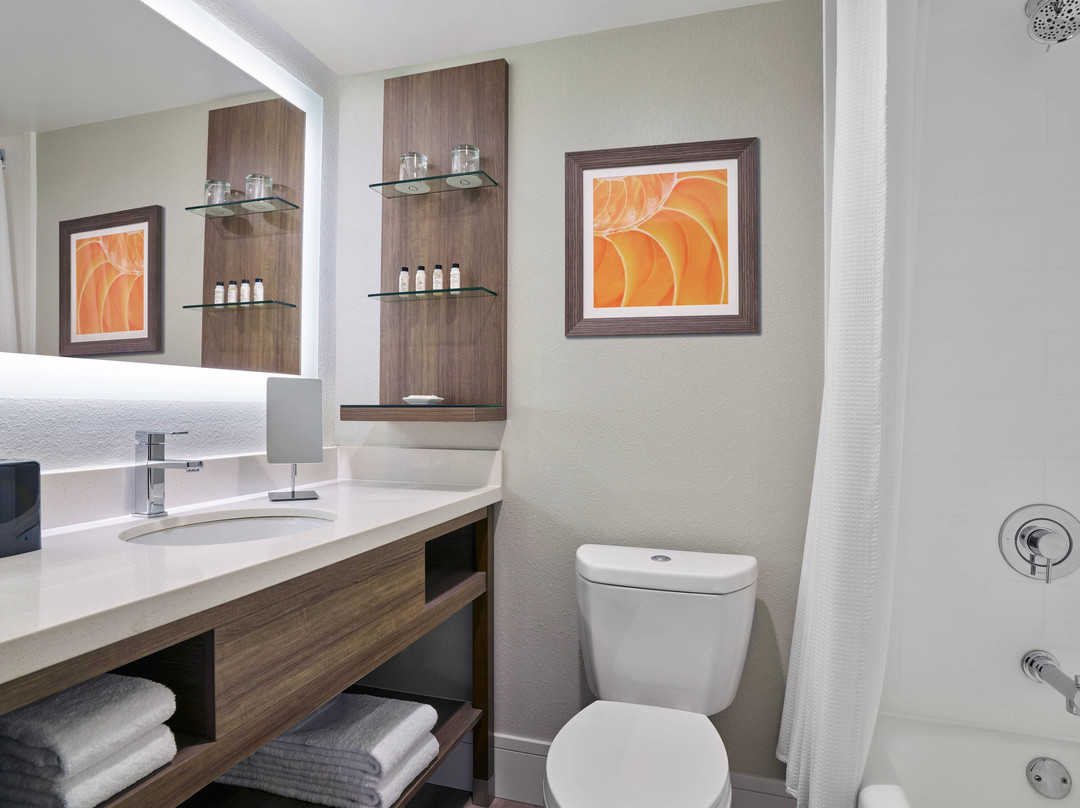 芝加哥威洛布鲁克欣斯代尔假日酒店主图