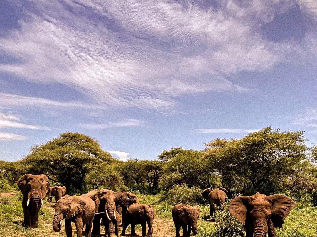 Rupia Adventure-阿鲁沙必去景点