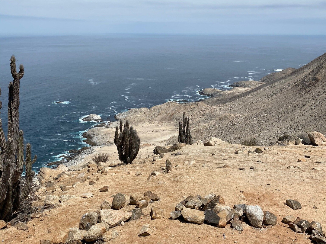 Pan de Azucar National Park-Chanaral必去景点