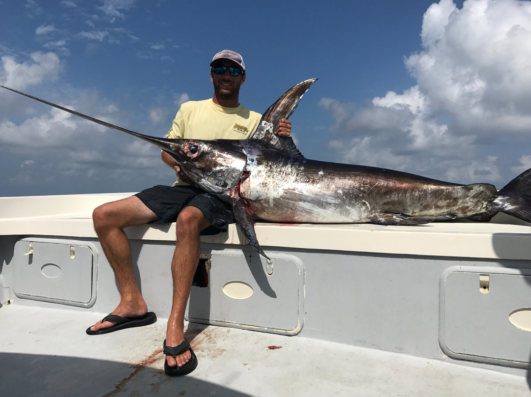 Paradise Outfitters-Venice必去景点