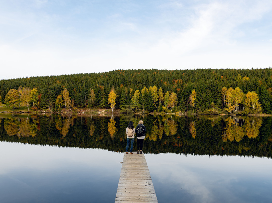 Lebensweg - Weitwandern Waldviertel-Ottenschlag必去景点