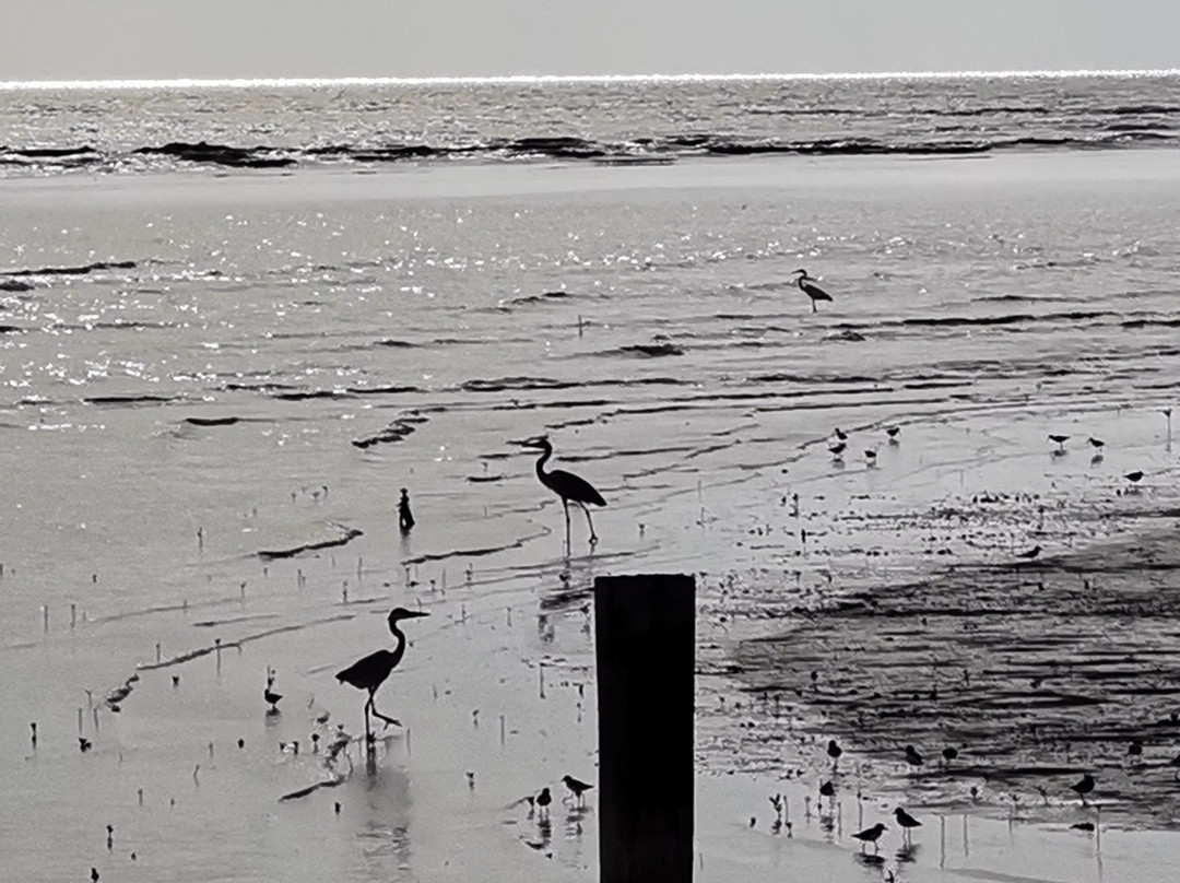Pantai Leka, Parit Jawa, Muar-麻坡必去景点