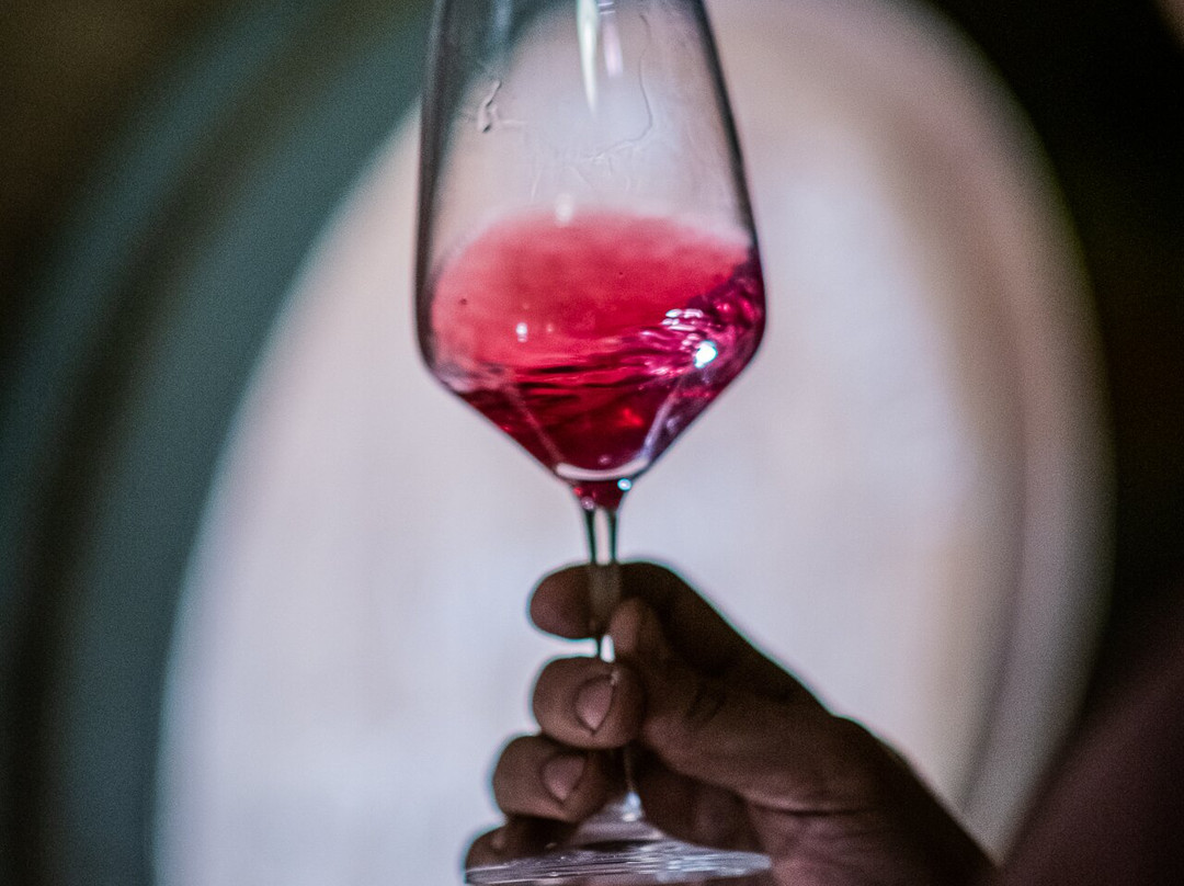 Kellerei Cantina Heiner.-博尔扎诺必去景点