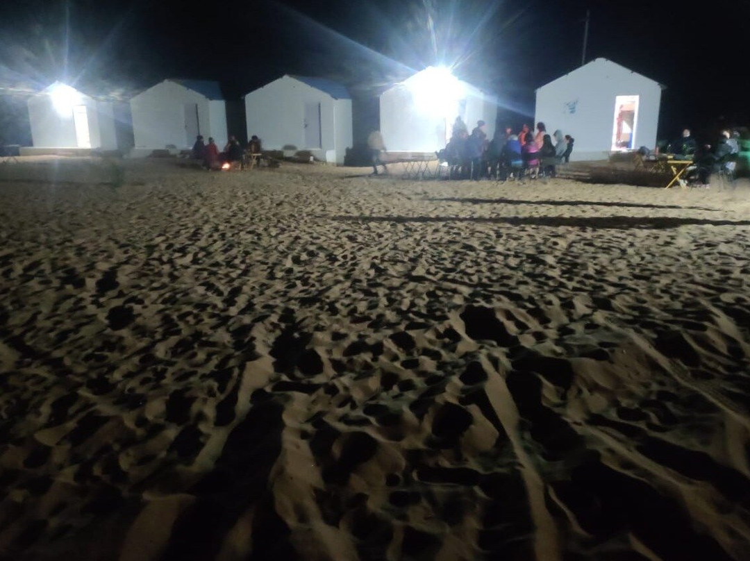 chandawat camps & camel safari pushkar景点图片