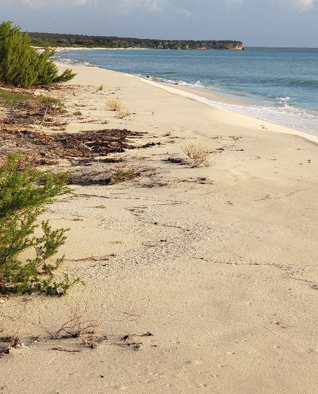 Hostal Dona Chava主图