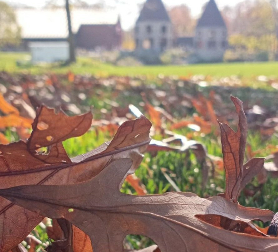 Twin Oast Brewing-克林顿港必去景点