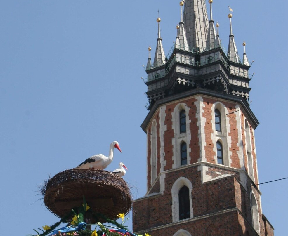 Cracovia Walking Tours-克拉科夫必去景点