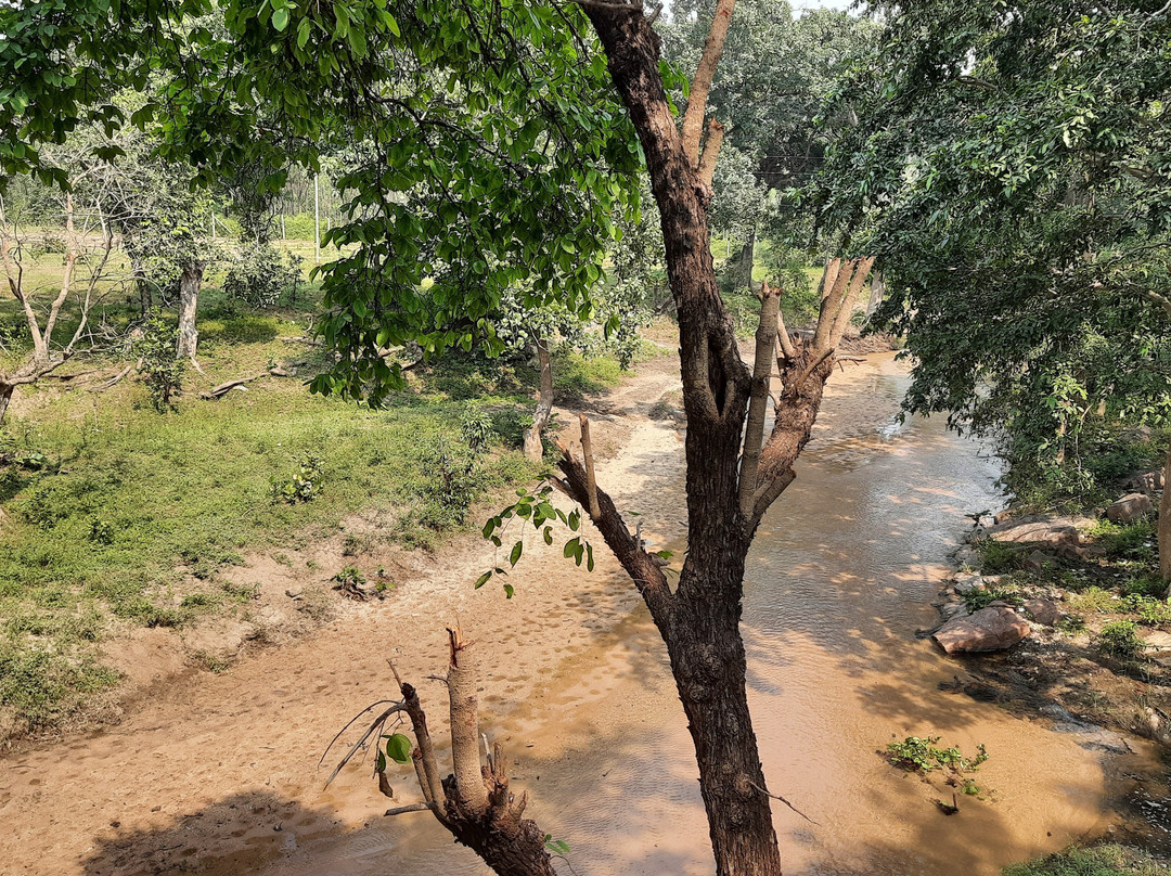 MPT Kiplings Court, Pench主图