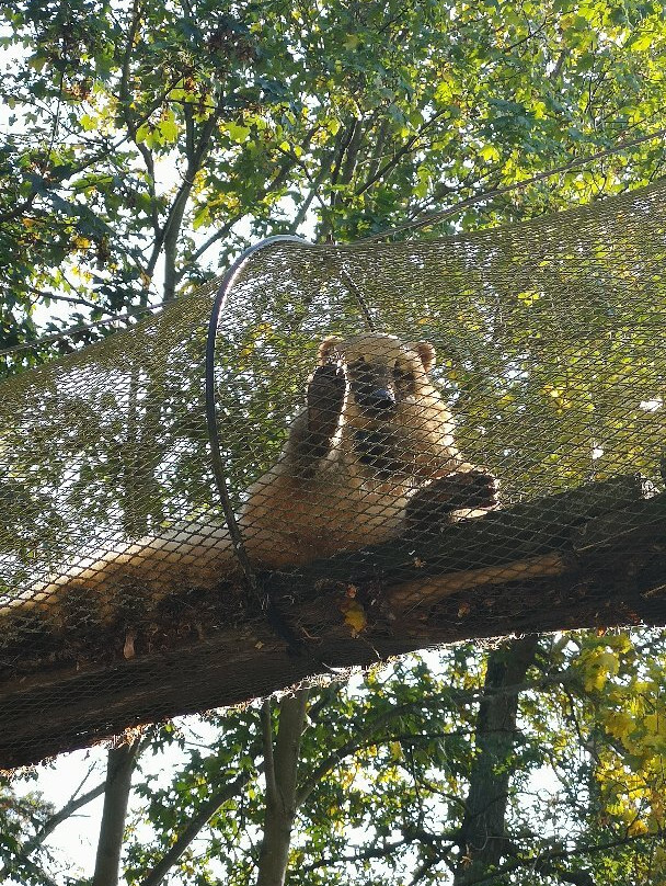 Tierpark Ueckermünde景点图片