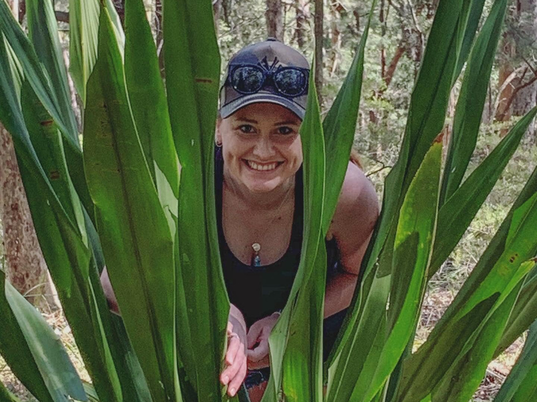 Mount Sugarloaf-Wallsend必去景点