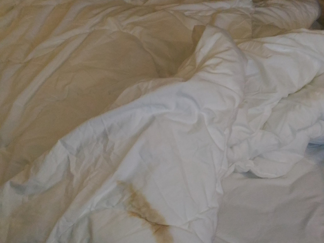 B&B HOTEL Dijon Marsannay主图