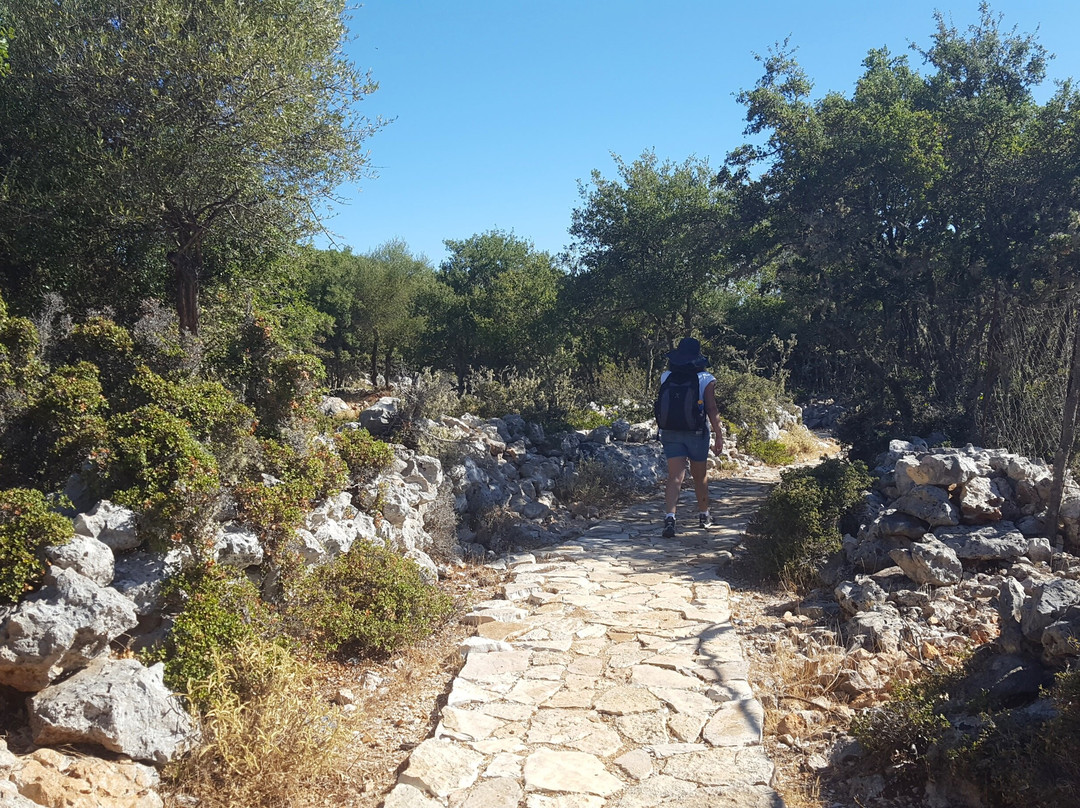 Kioni Harbour-Kioni必去景点