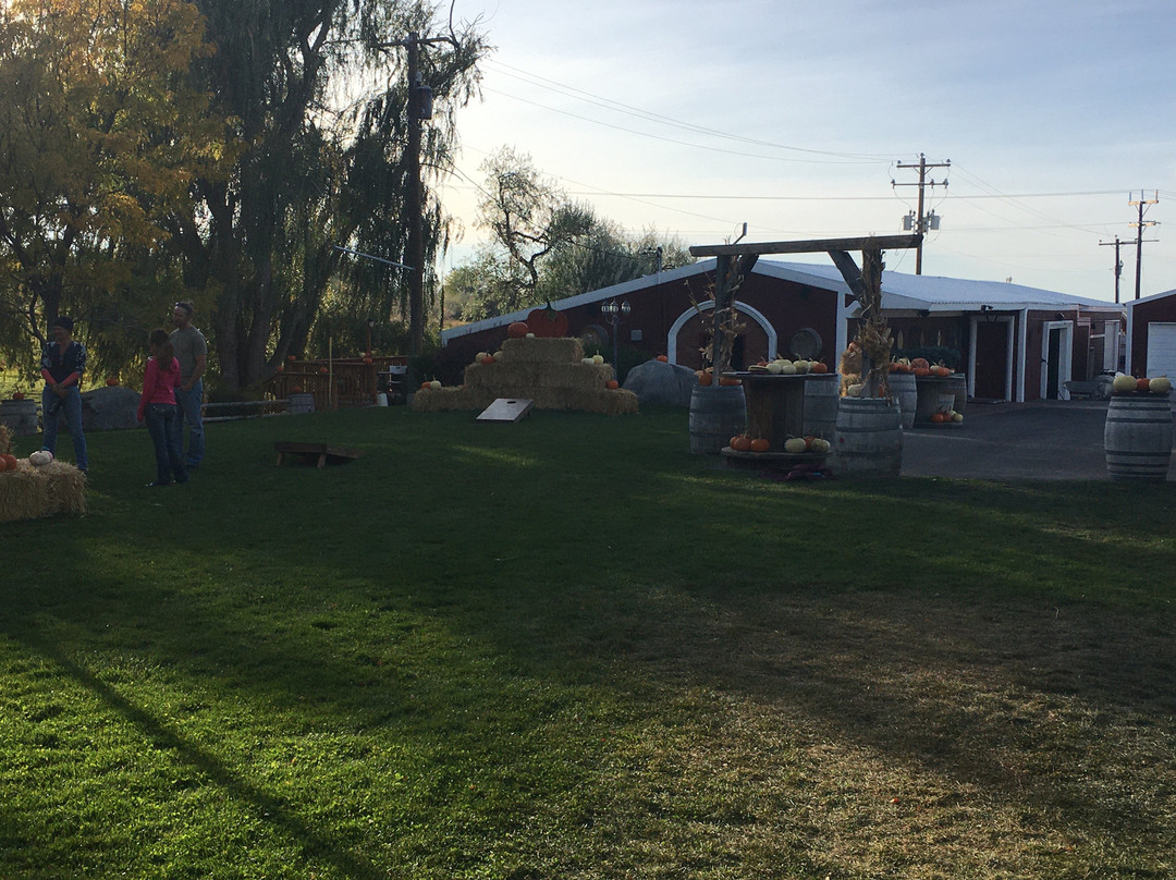 Holesinsky Vineyard & Winery-Buhl必去景点