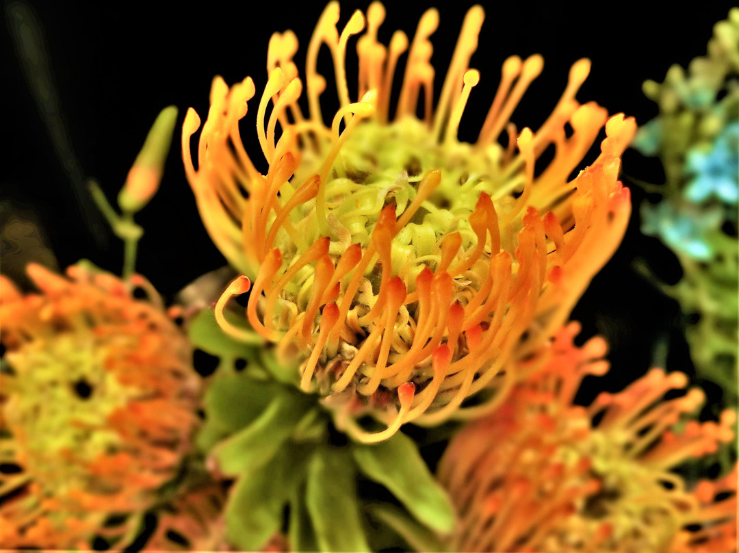 Ito-Yokado Akishima-昭岛市必去景点