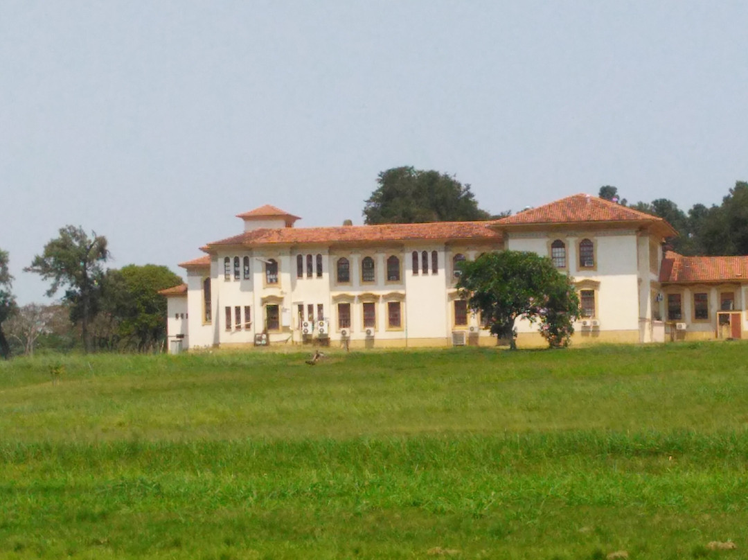 Seropedica旅游攻略图片