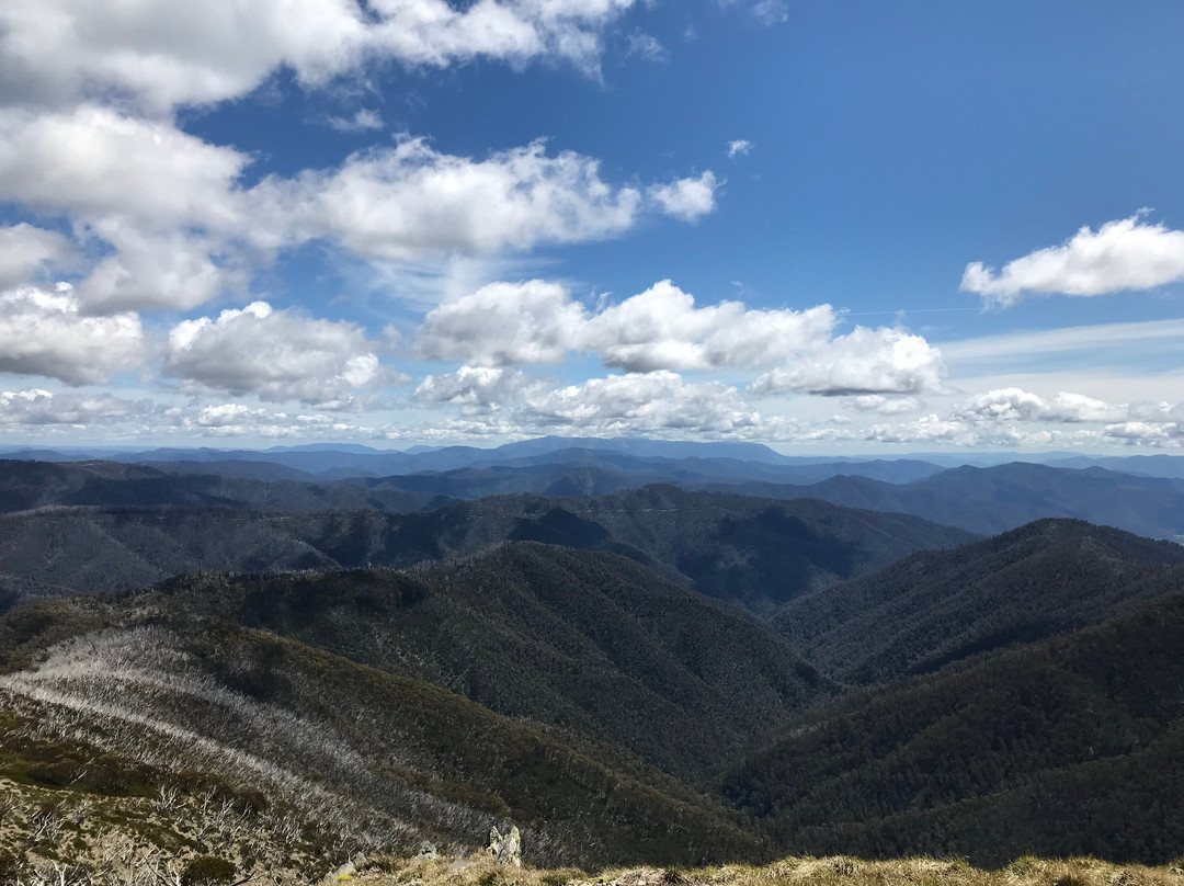 Danny's Lookout-Hotham Heights必去景点