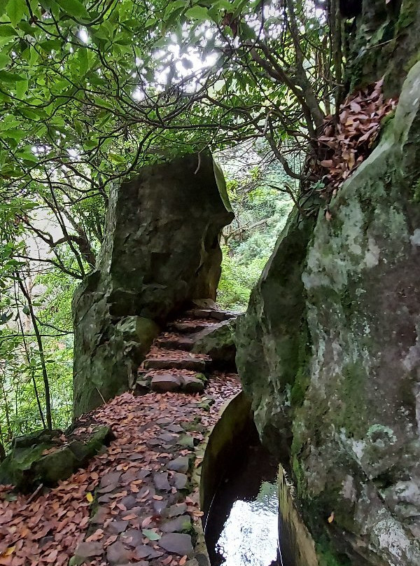 Levada do Furado-Santana必去景点