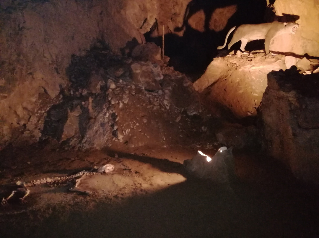 Cuevas de Onati-Arrikrutz景点图片