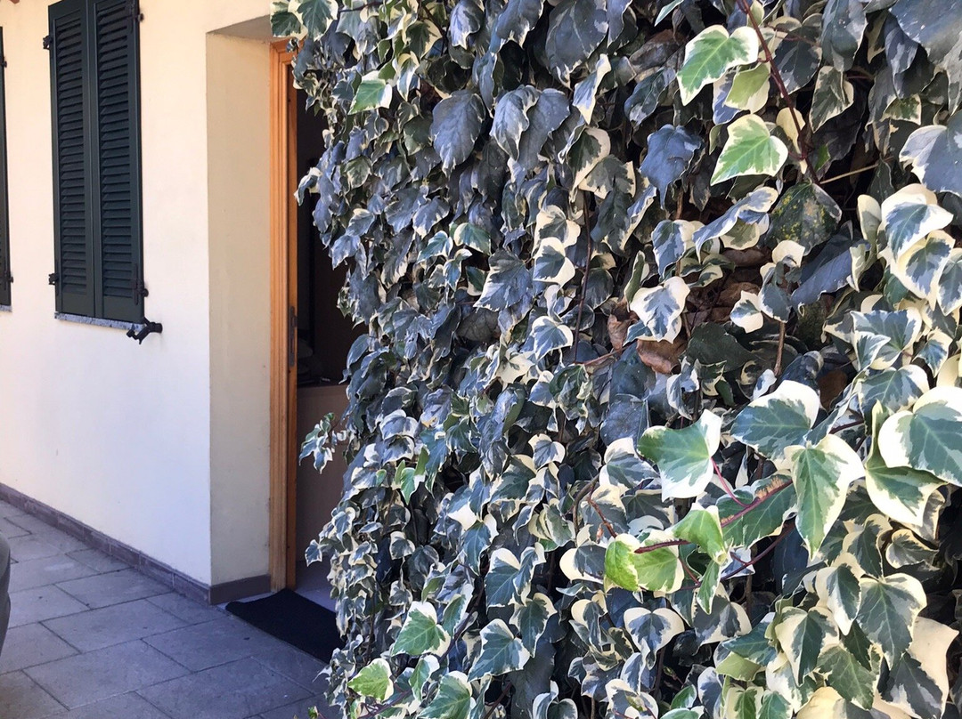 费埃拉洛酒店主图