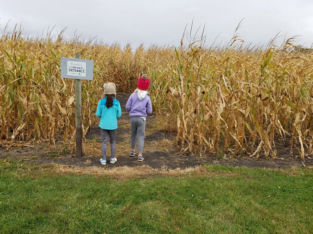 Minnesota Agricultural Interpretive Center - Farmamerica景点图片