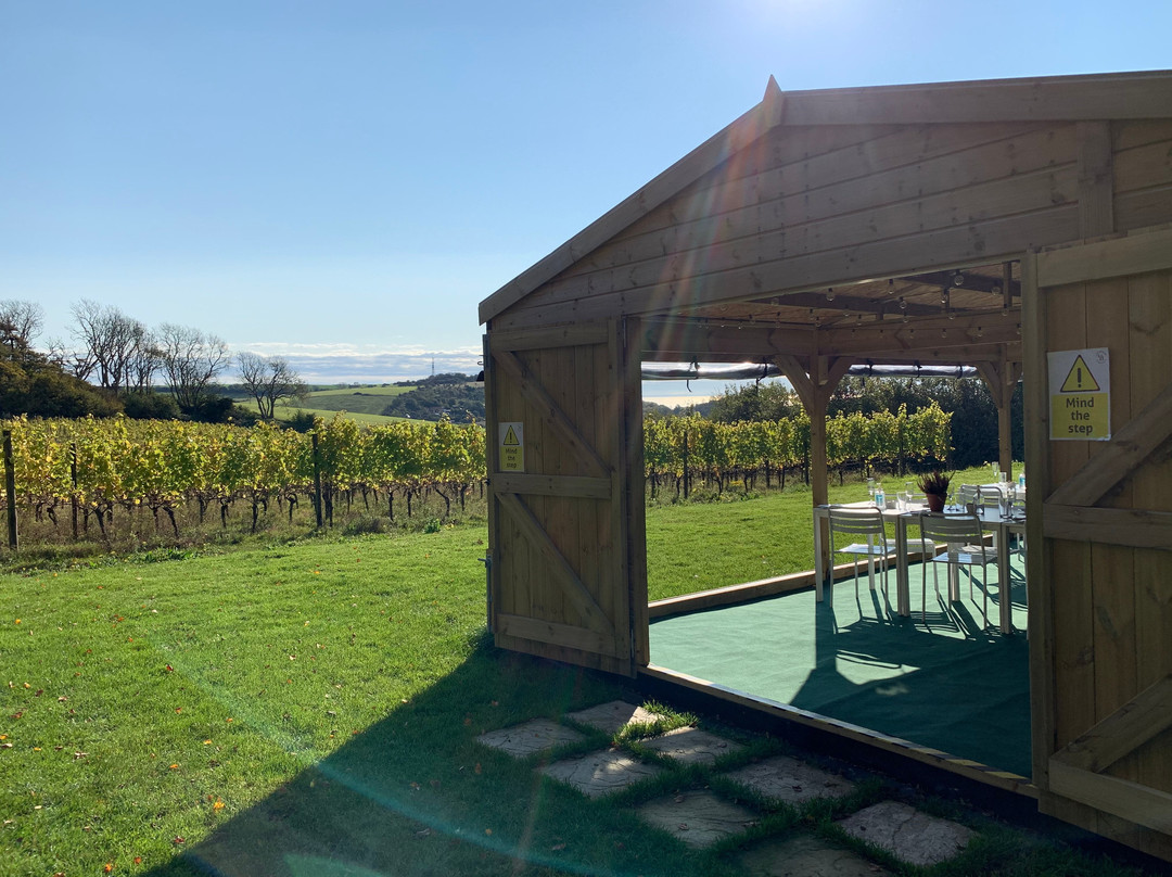 Terlingham Vineyard-Hawkinge必去景点