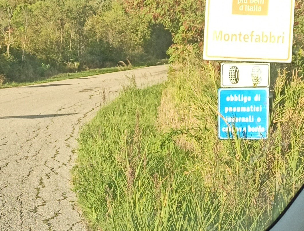 Castello di Montefabbri景点图片