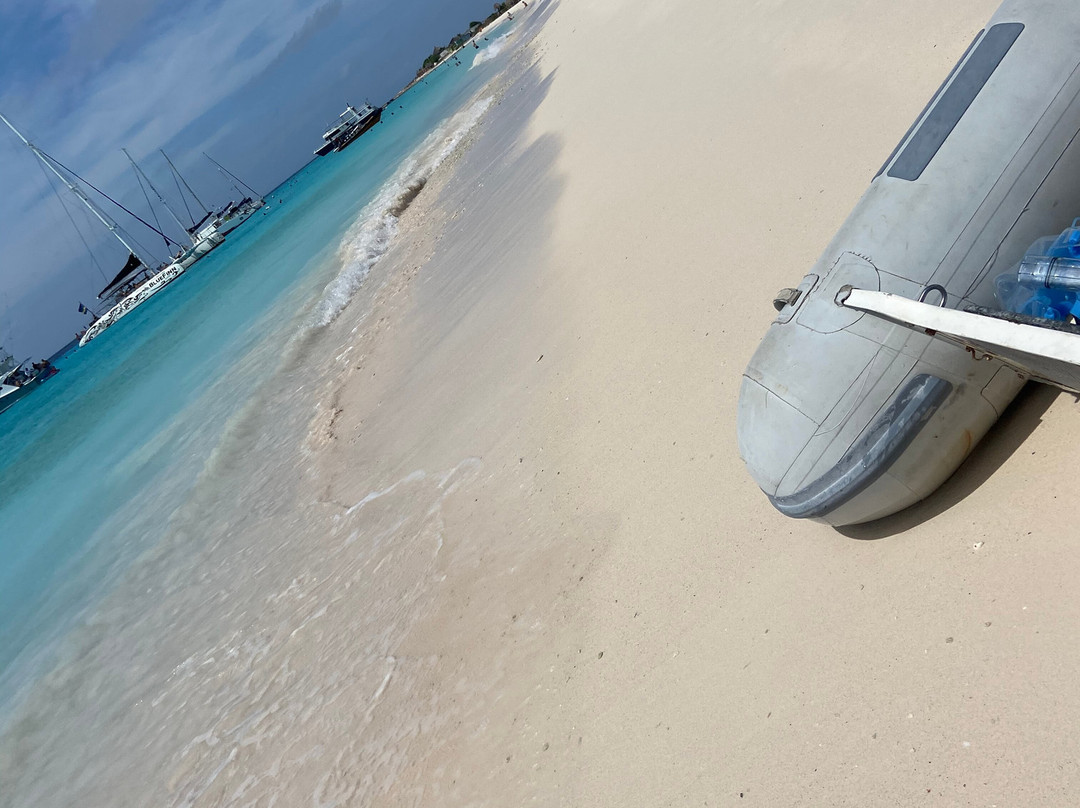 Blue C Watersports - Curacao Boat Trips-威廉斯塔德必去景点