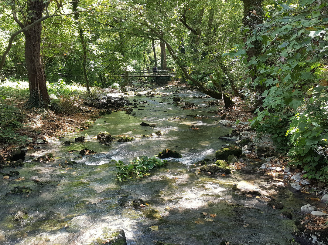 The Cave of river Aggitis景点图片