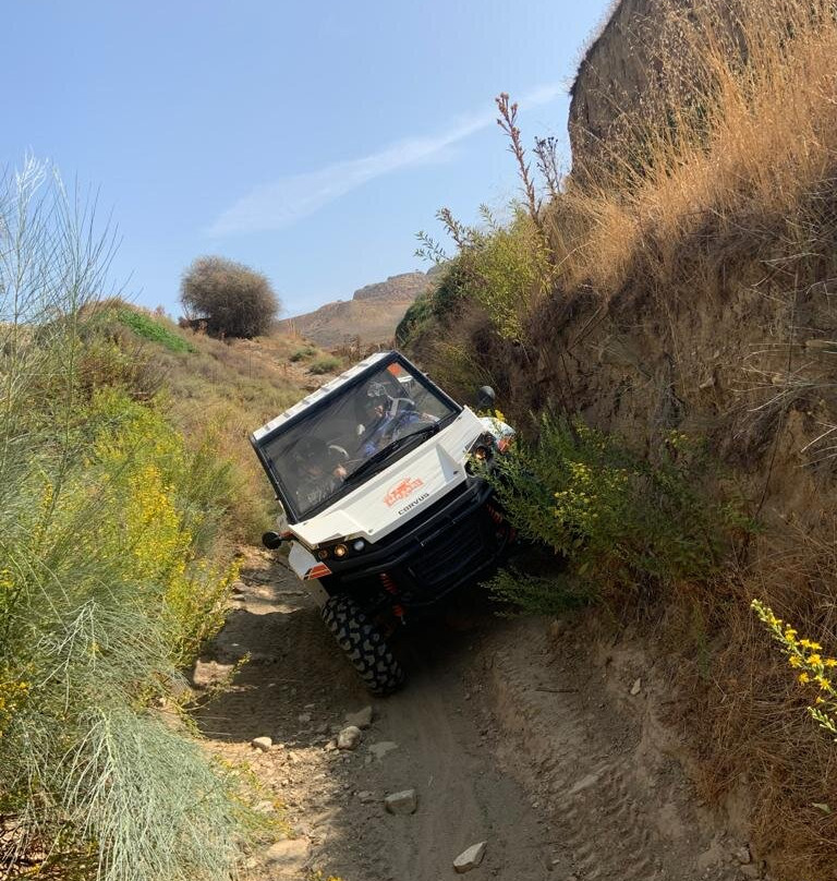 Monkeyland-阿米拉必去景点