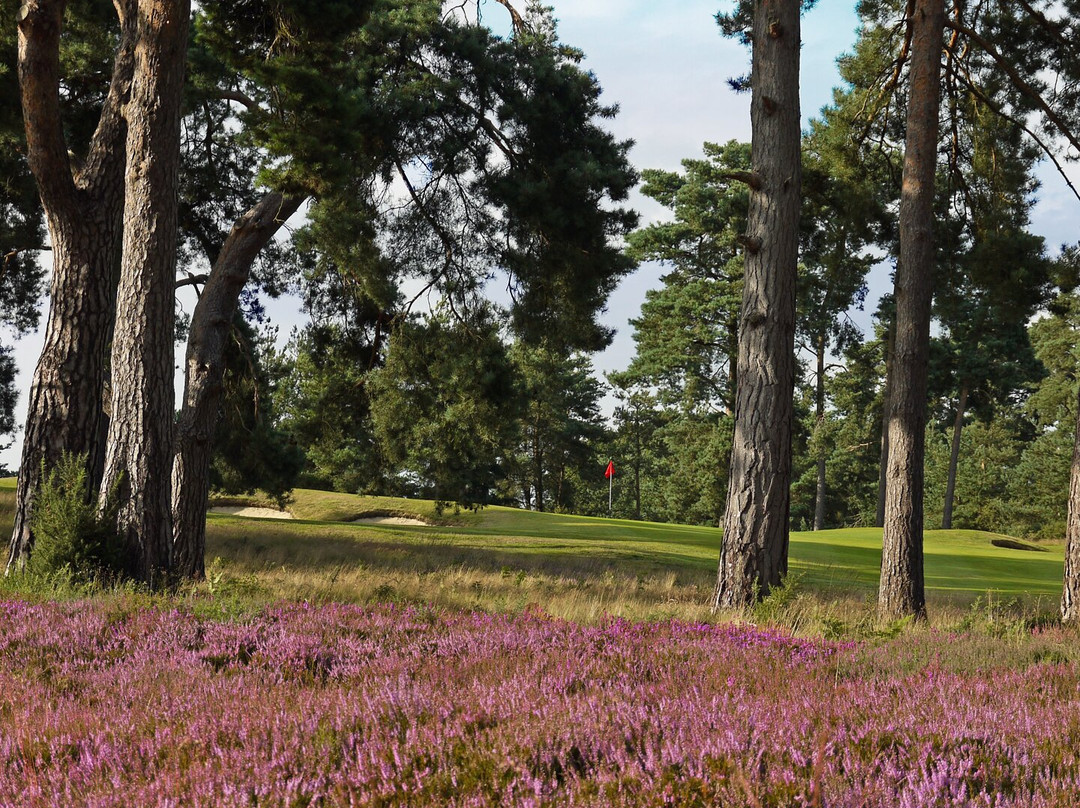 Blackmoor Golf Club景点图片