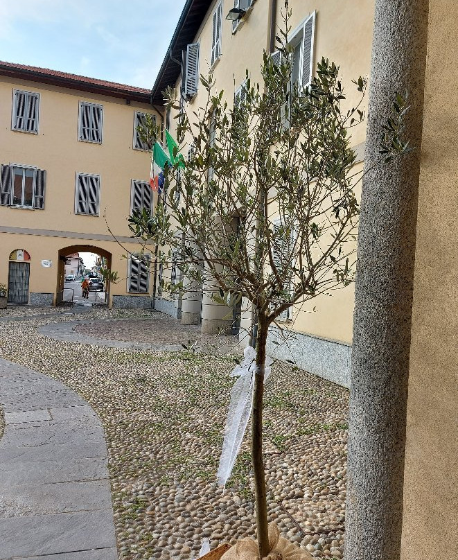 Palazzo Carcassola景点图片