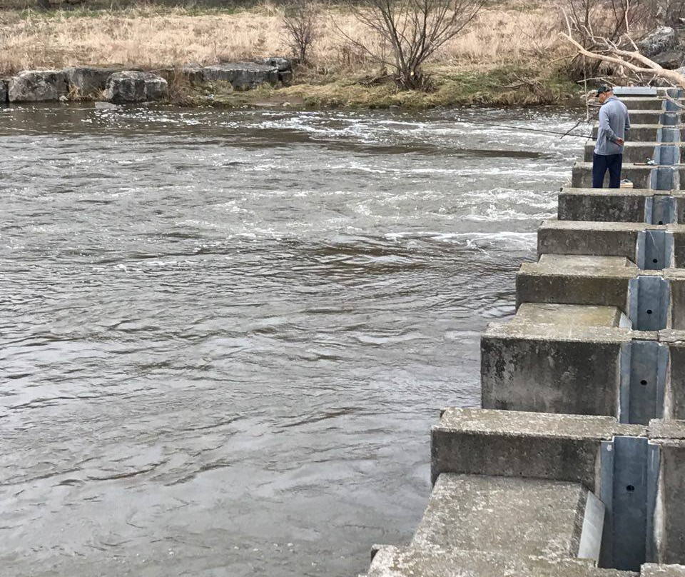 Erindale Park-米西索加必去景点