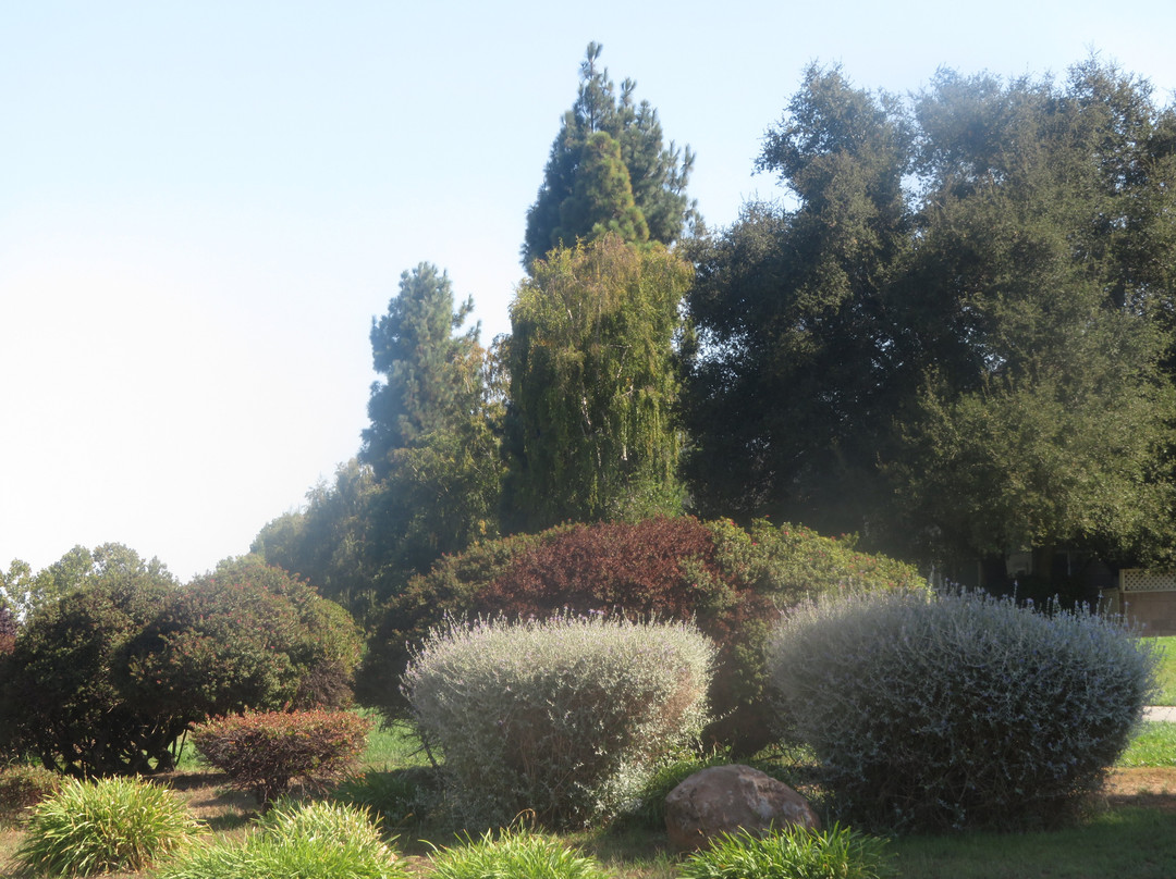 Klein Park-山景城必去景点