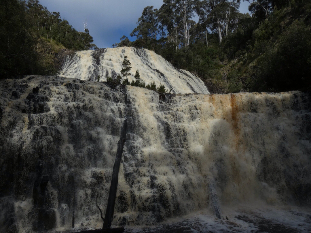 Dip River Forest Reserve景点图片