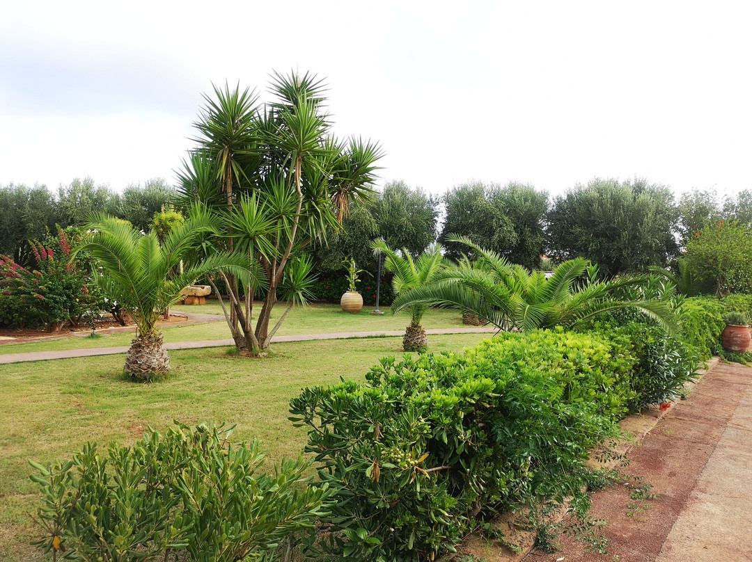 Oasis Beach Hotel主图