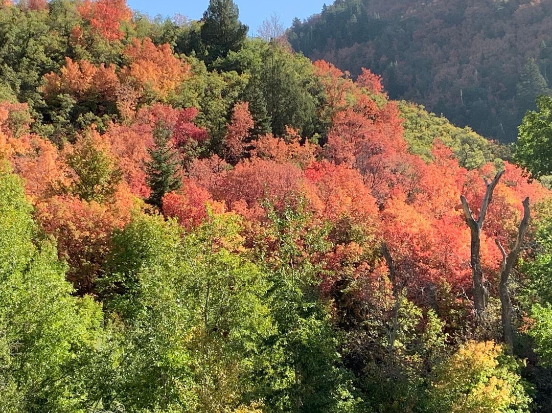 Nebo Loop National Scenic Byway-Payson必去景点